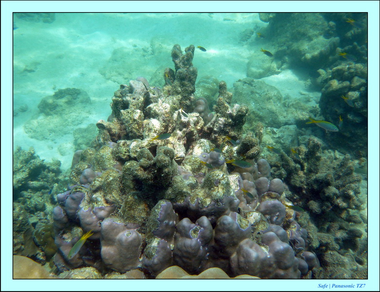 2011 - 03 - Koh Ngai 102